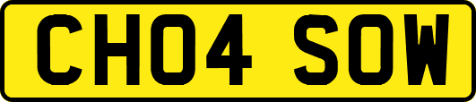 CH04SOW