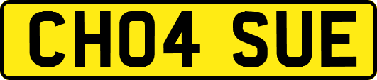CH04SUE