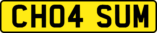 CH04SUM