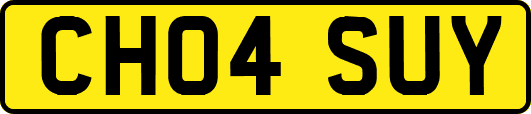 CH04SUY