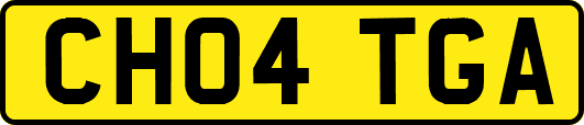 CH04TGA