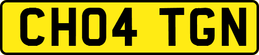 CH04TGN