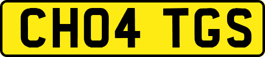 CH04TGS