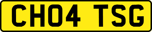 CH04TSG