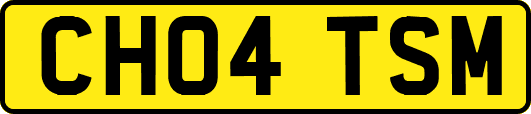 CH04TSM