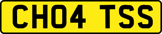 CH04TSS