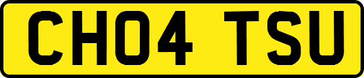 CH04TSU