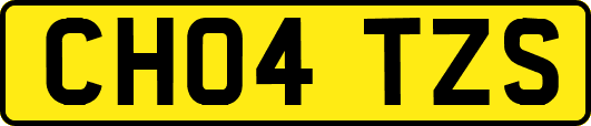 CH04TZS