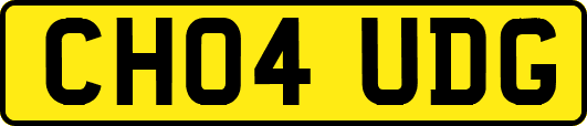 CH04UDG
