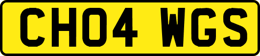 CH04WGS