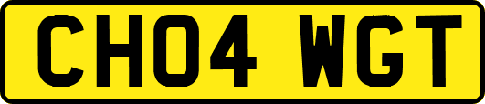 CH04WGT