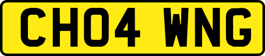 CH04WNG