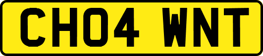 CH04WNT