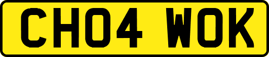 CH04WOK