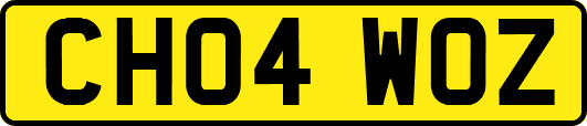 CH04WOZ