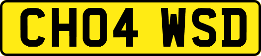 CH04WSD