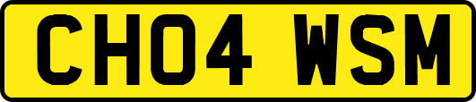 CH04WSM