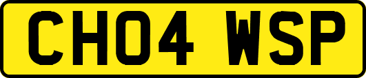 CH04WSP