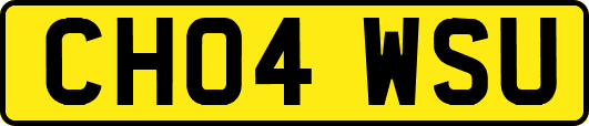 CH04WSU