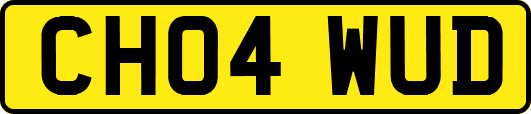 CH04WUD