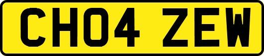 CH04ZEW