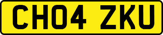 CH04ZKU