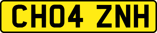 CH04ZNH