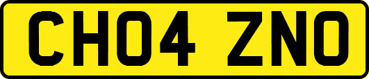 CH04ZNO
