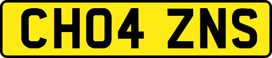 CH04ZNS