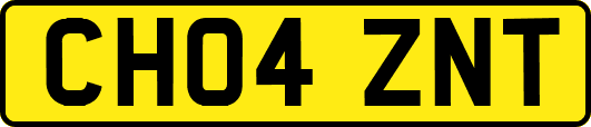 CH04ZNT