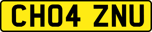 CH04ZNU