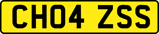CH04ZSS