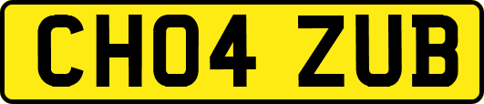 CH04ZUB