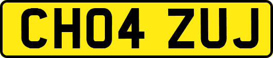 CH04ZUJ