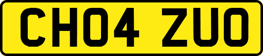 CH04ZUO