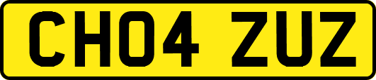 CH04ZUZ