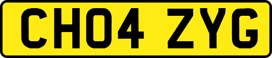 CH04ZYG