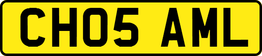 CH05AML