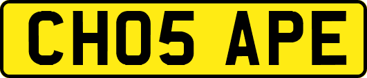 CH05APE