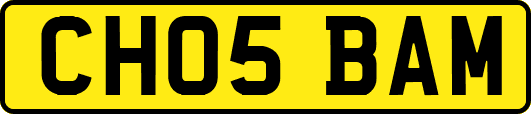 CH05BAM