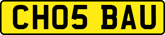 CH05BAU