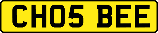 CH05BEE
