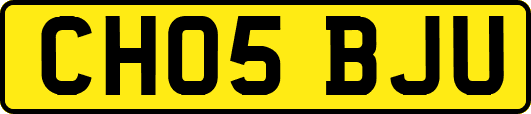 CH05BJU