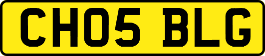 CH05BLG