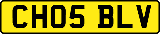 CH05BLV