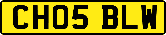 CH05BLW