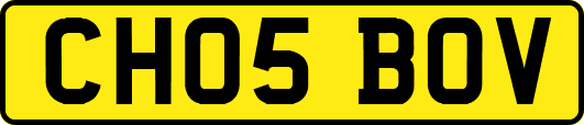 CH05BOV