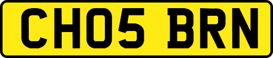 CH05BRN