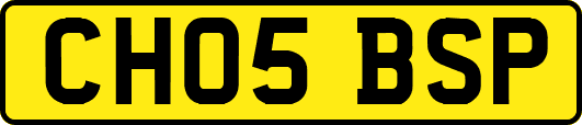 CH05BSP