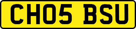 CH05BSU